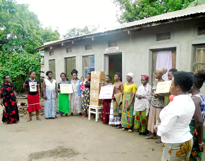 Home 15 seed_legumes